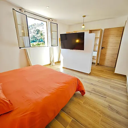 E Cotule Santa-Reparata-di-Balagna